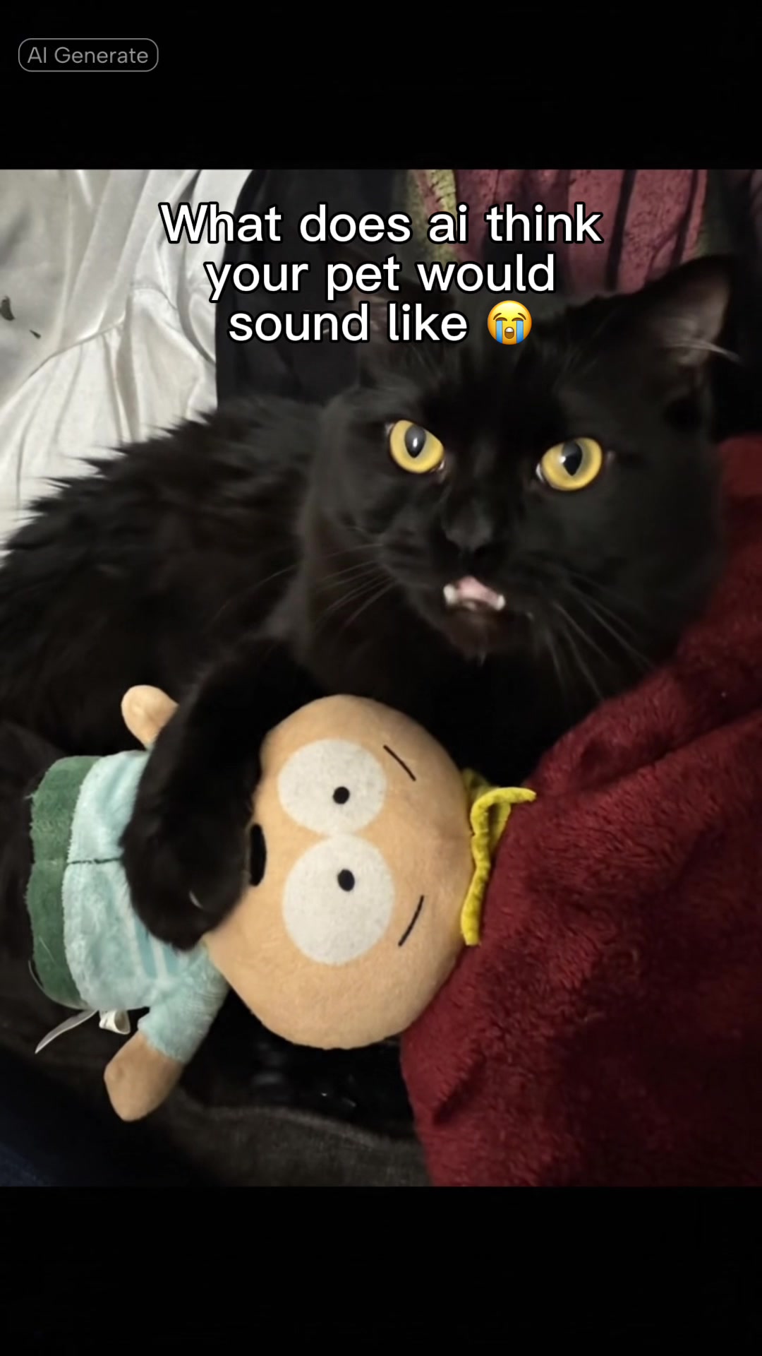 @Ty