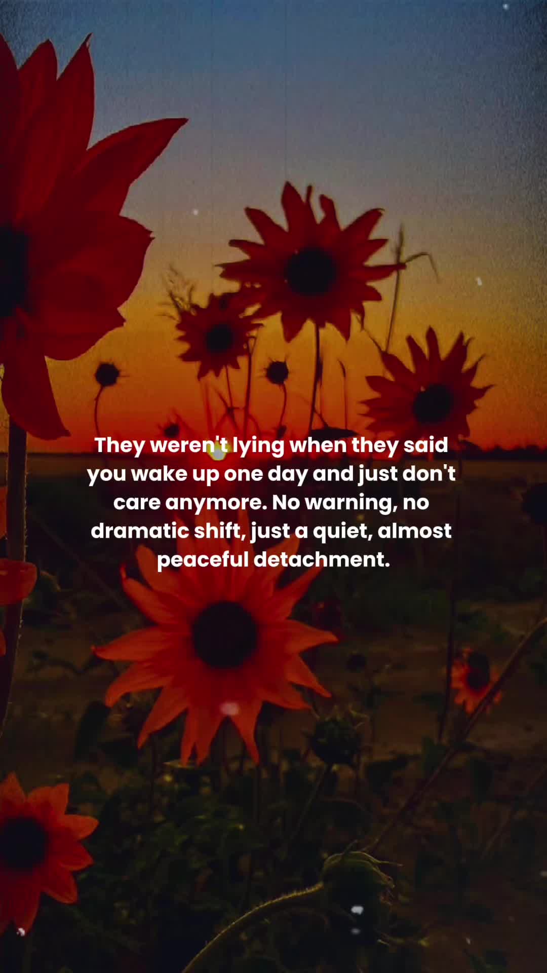 @❤️BeautifullyComplicated🪷
