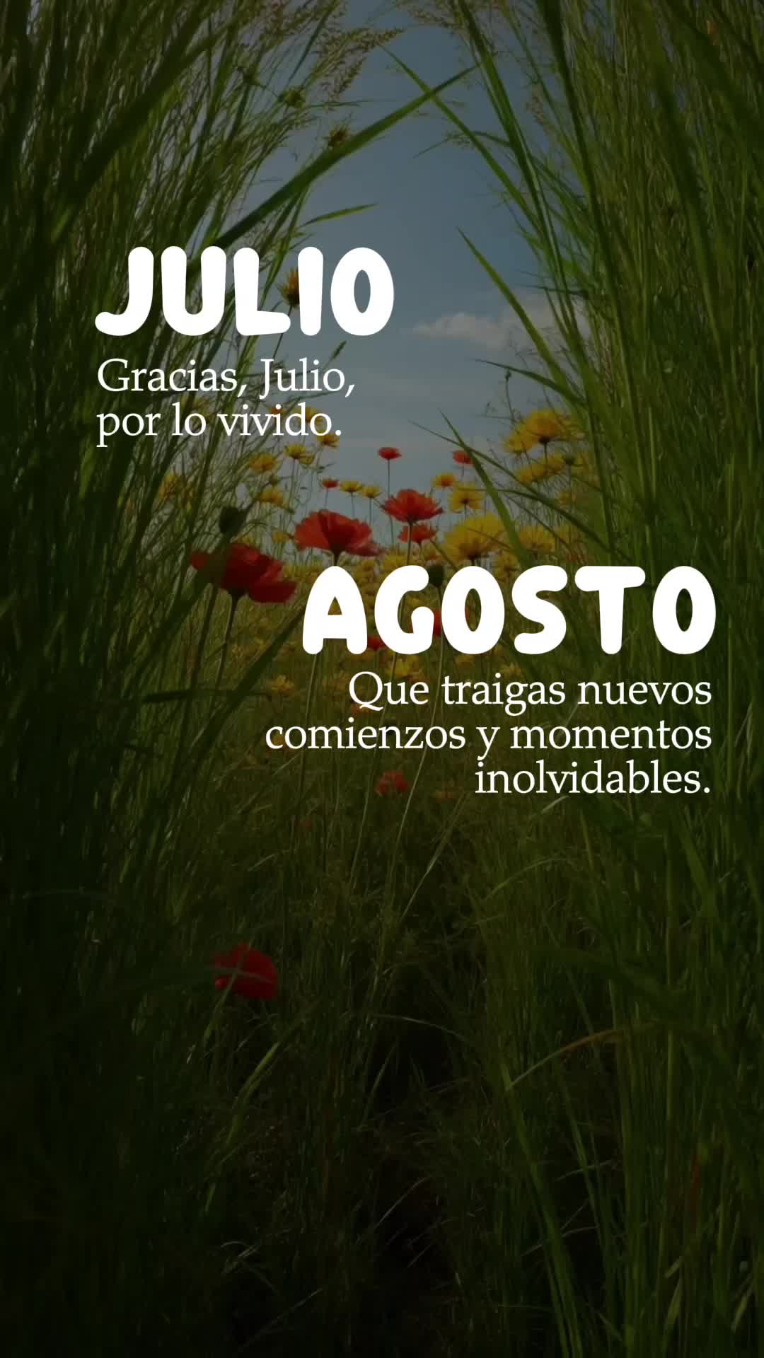 @Zury Lucas