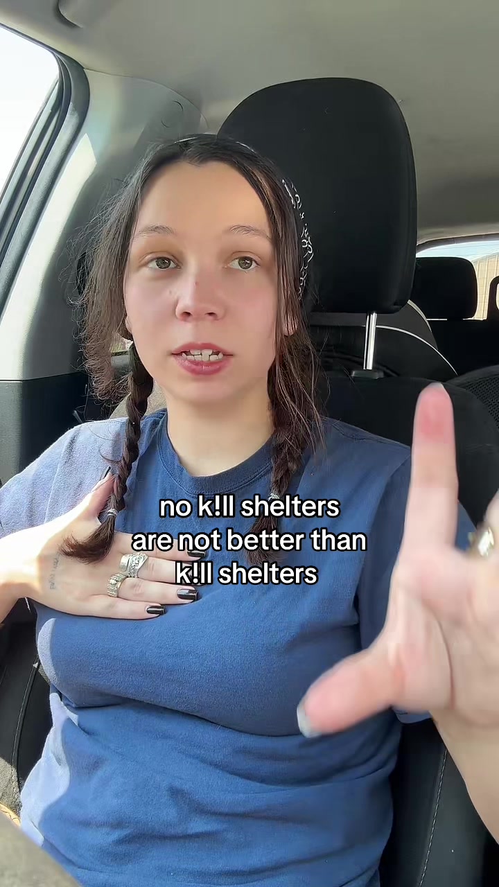 @Kayleigh + Dogs