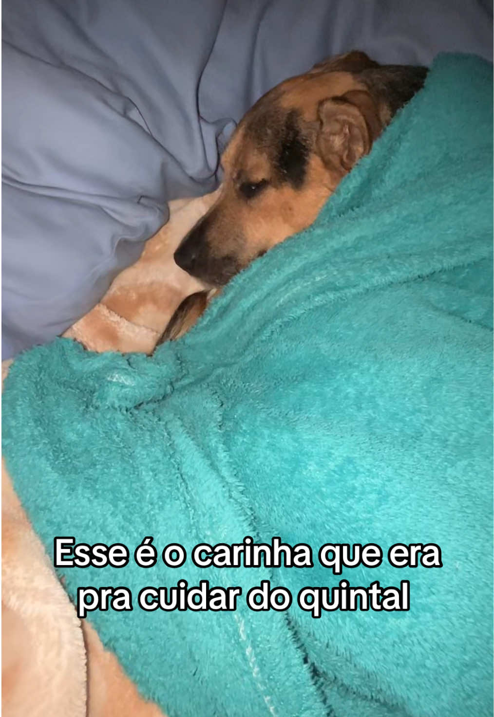 @Giovanna