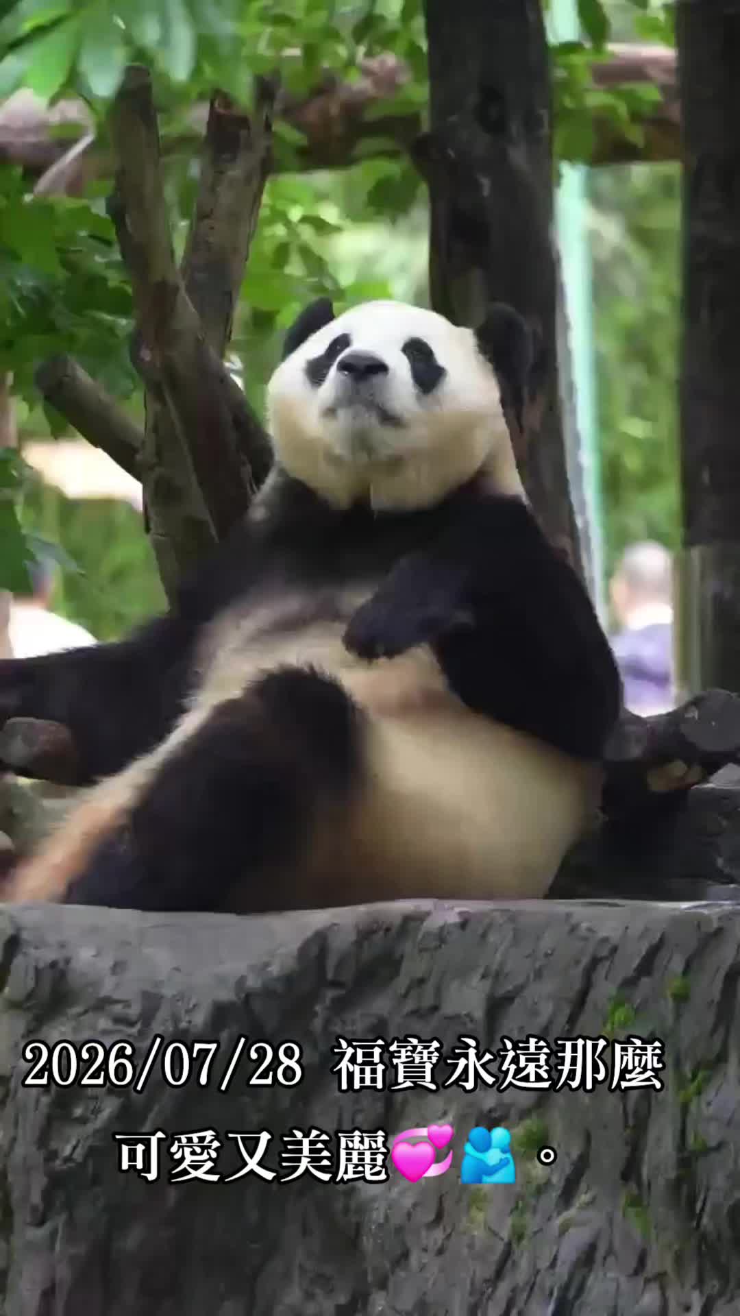 @福寶需要愛的抱抱