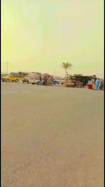 @rashidkhan804