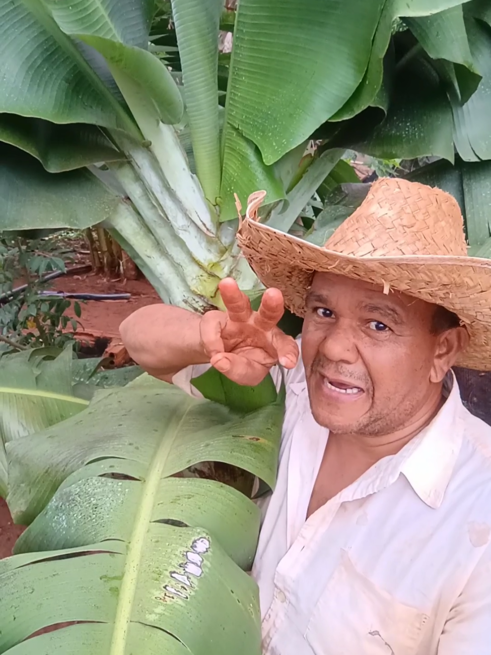 @Antônio Marcos Ferreira
