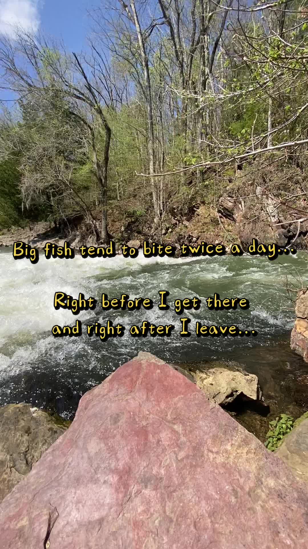 @wood.fishing