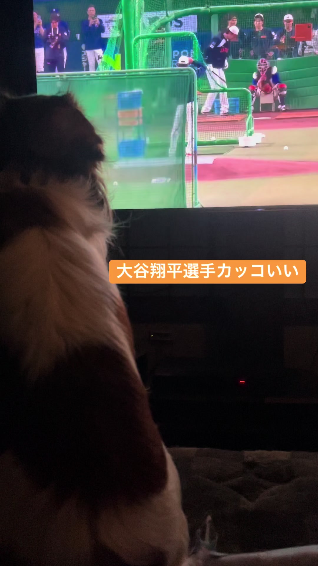 @大将