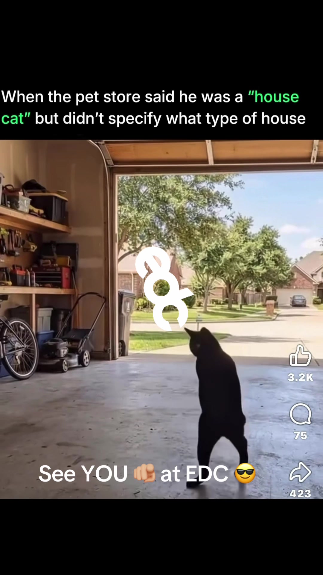 @TonyTeeein818