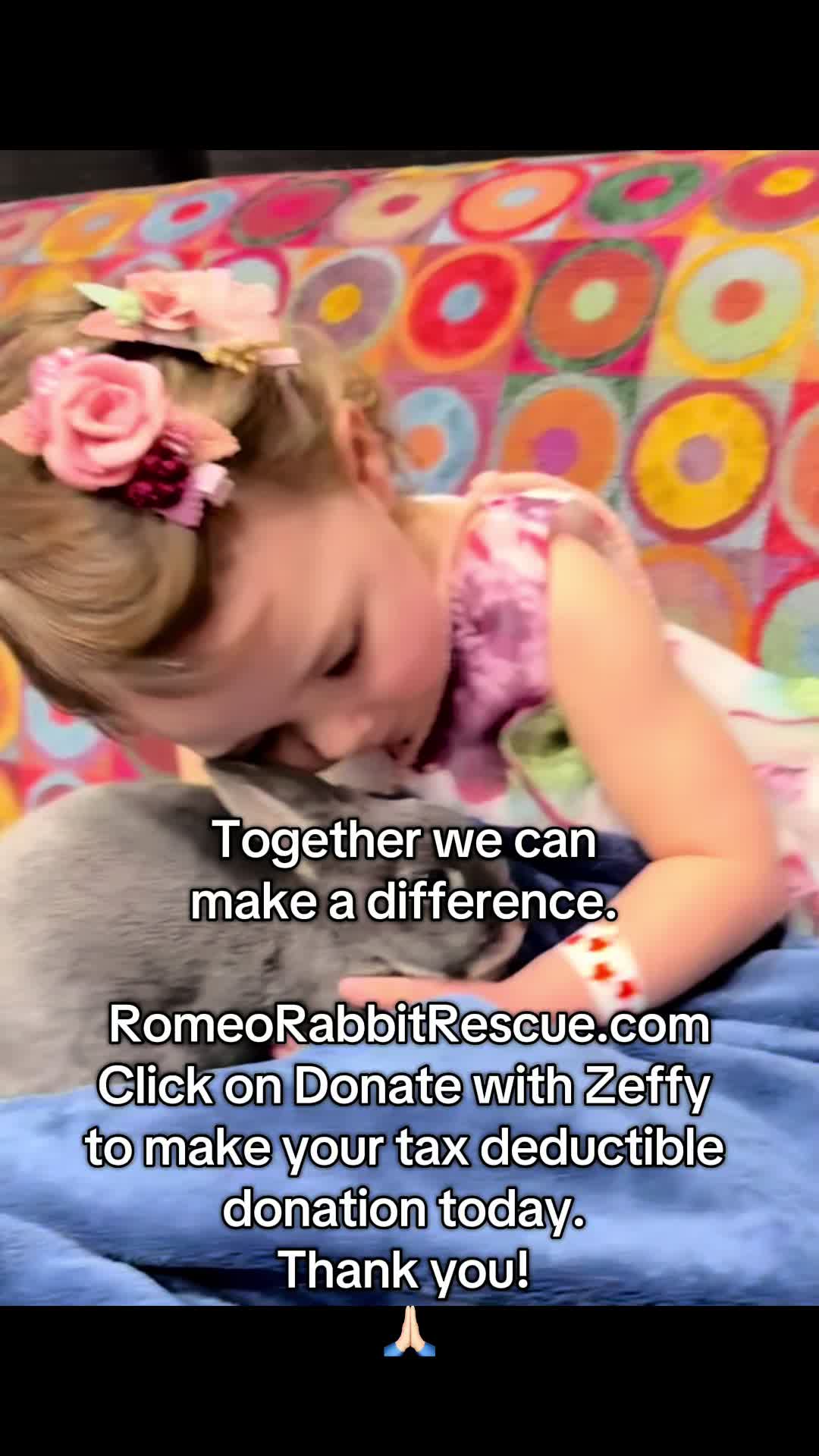 @Romeo Rabbit Rescue