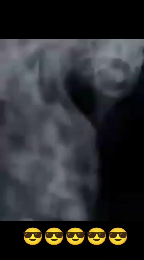 @Дэнчик Кэт