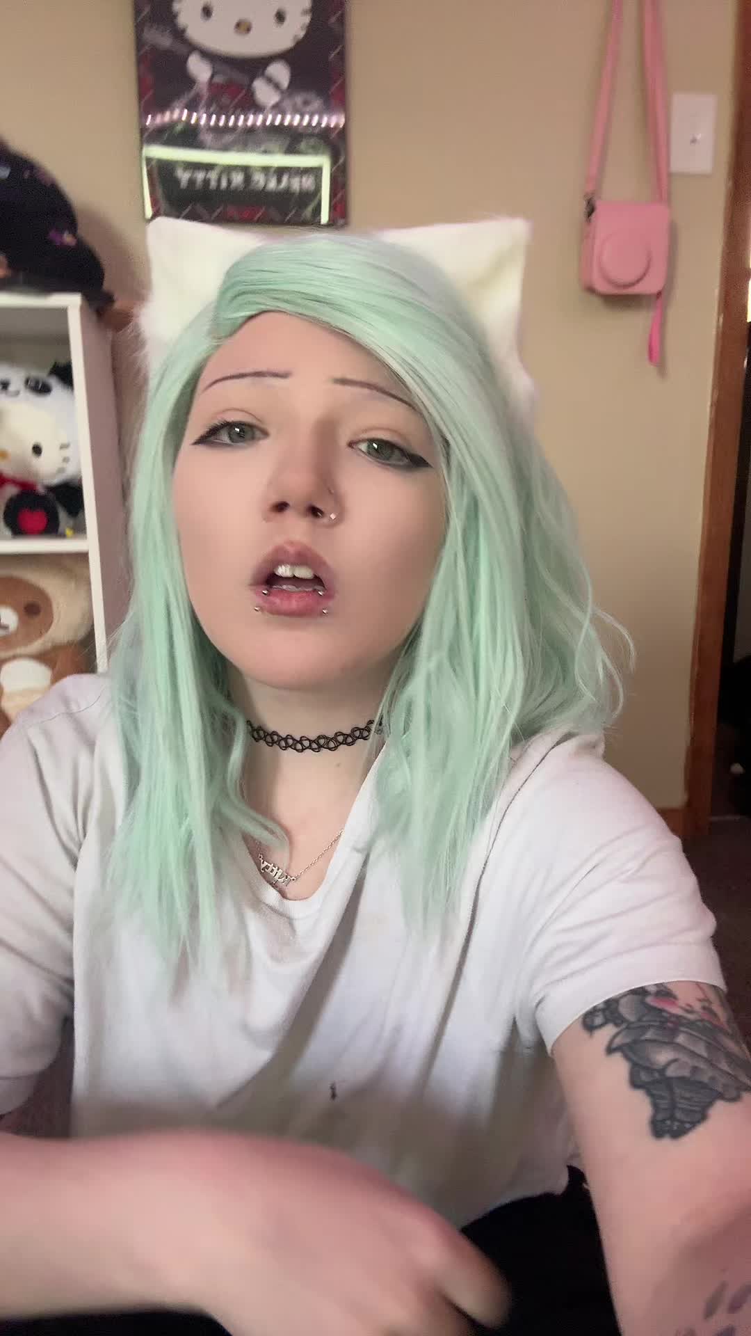 @kitty