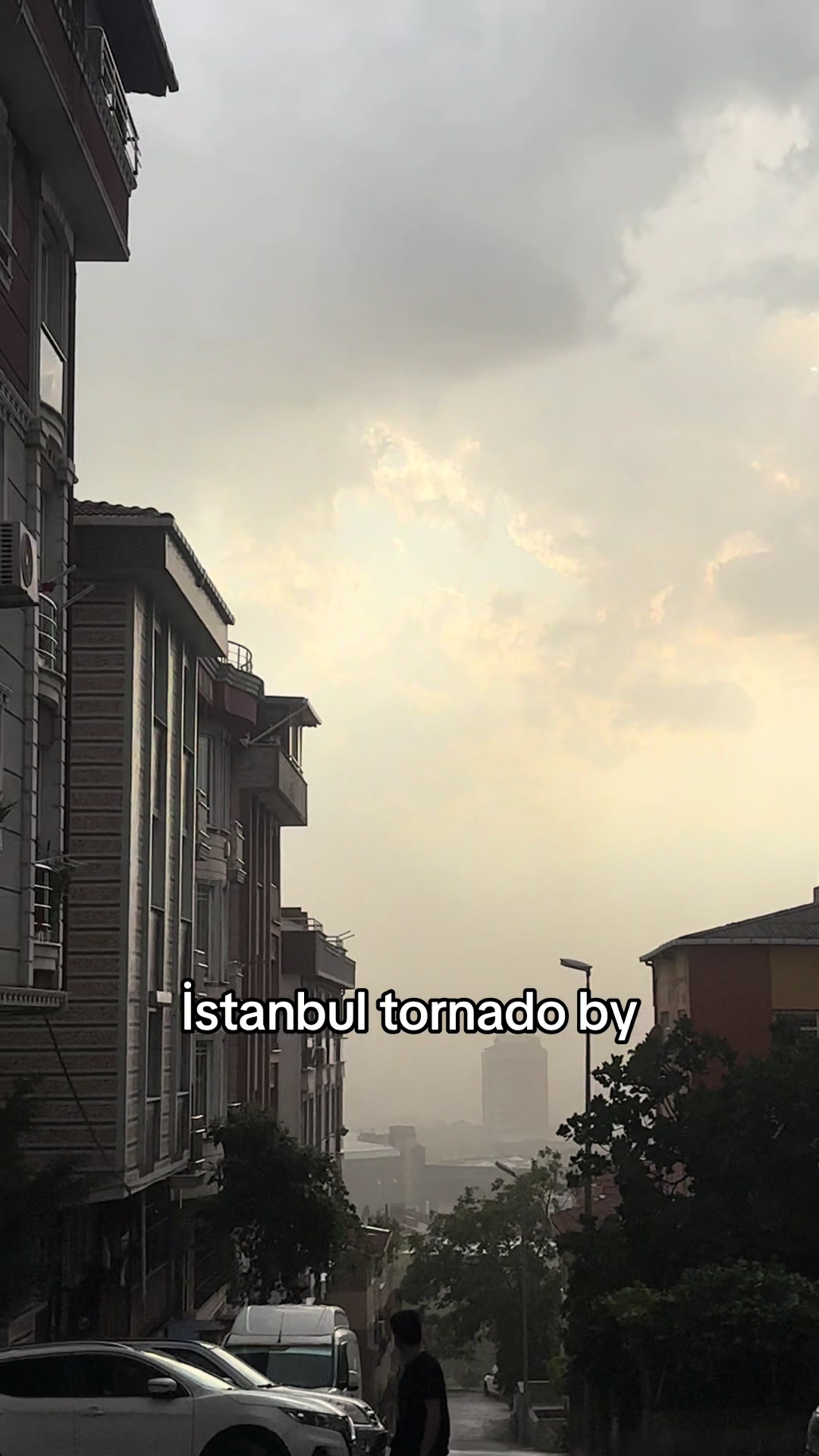 @bertan