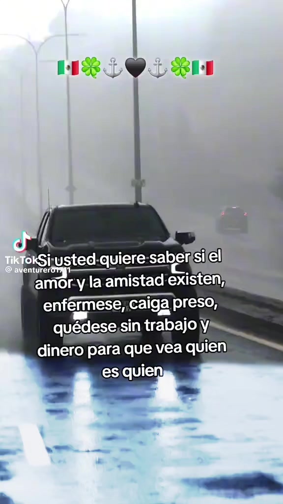 @KZDR