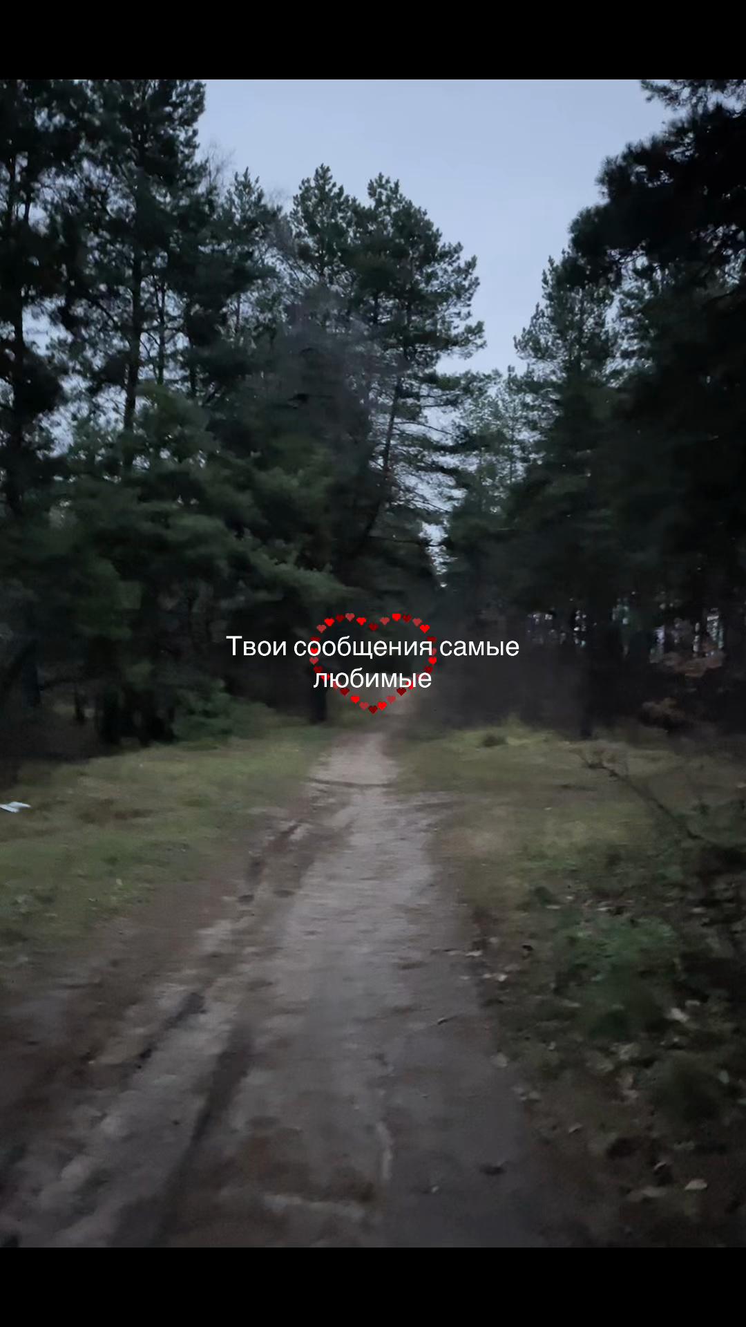@𖣂︎ Леонова