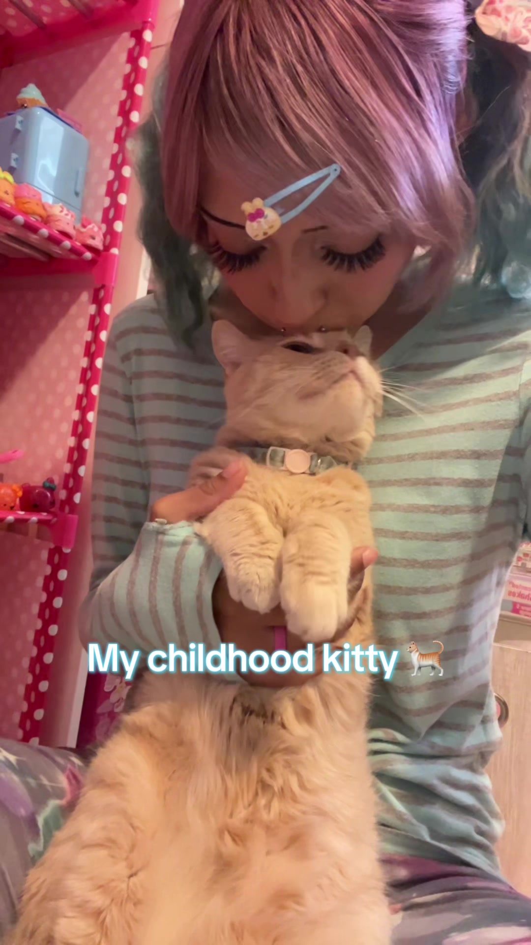 @CupcakeKitten 🧁🐾