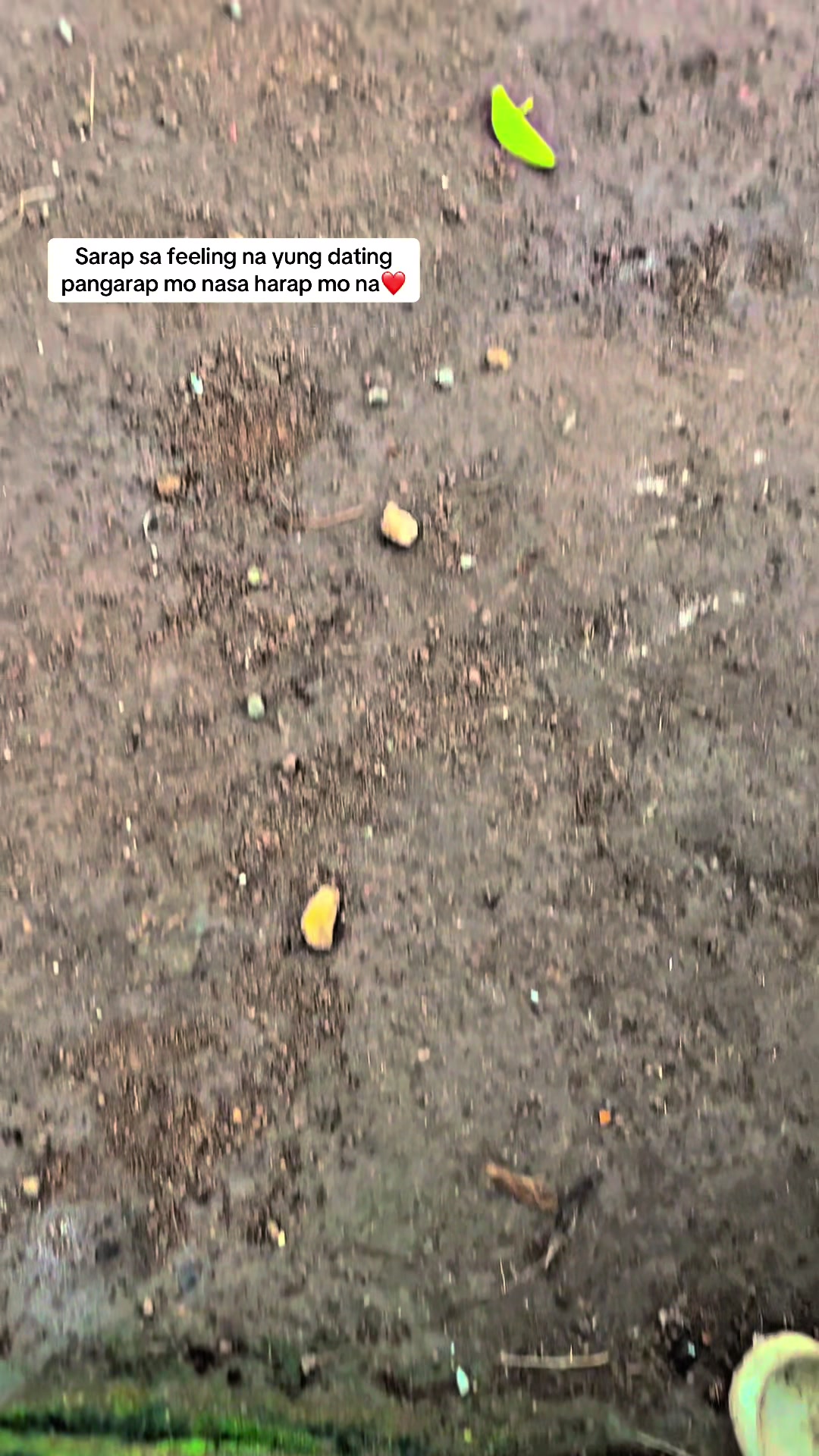 @ric0y4