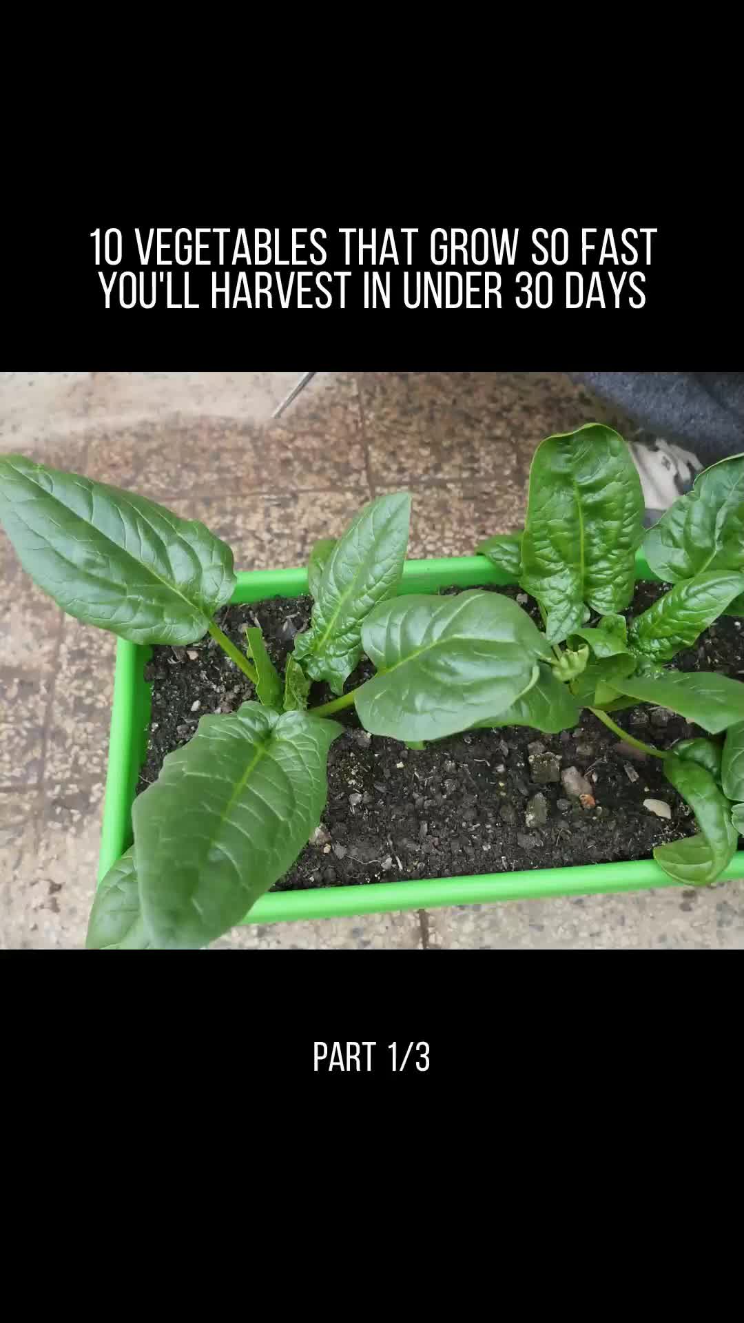 @user32331650853717
