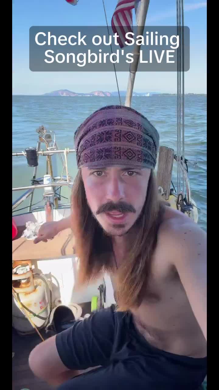 @DoggoDogz