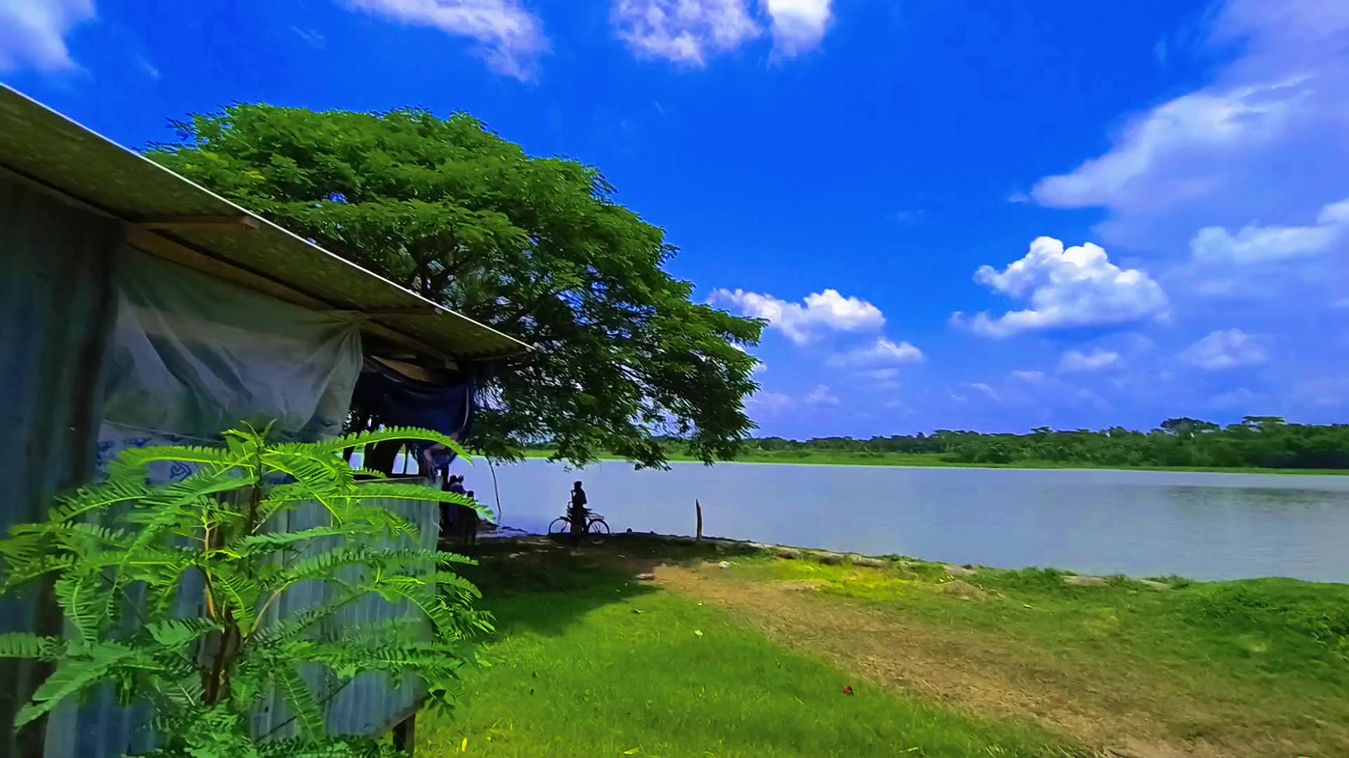 @🍃🕊️ ”প্রকৃতির ছোঁয়া” 🕊️🍃
