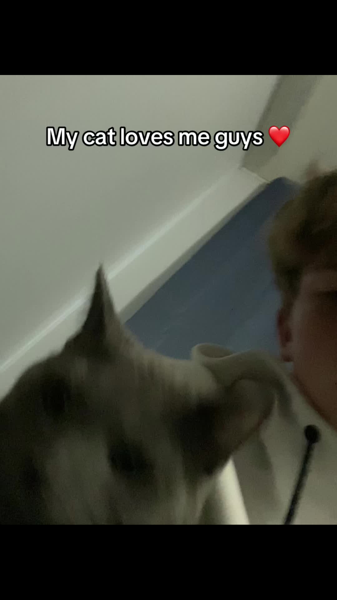 @￴￴
