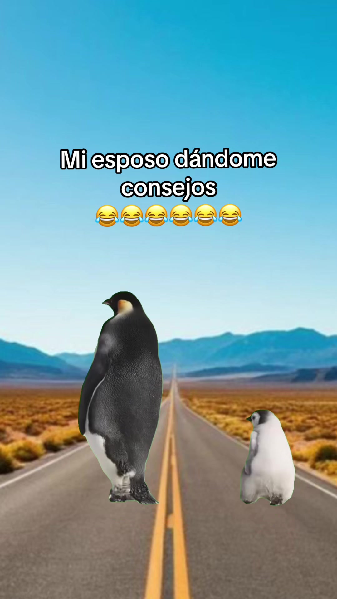 @𝓜𝓪𝓻𝓰𝓪𝓻𝓪.𝓞𝓯𝓲𝓬𝓲𝓪𝓵✨