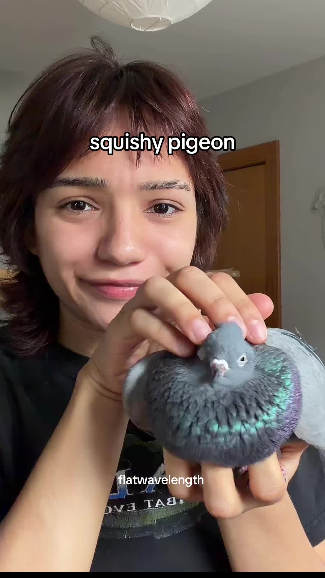 @flatwavelength