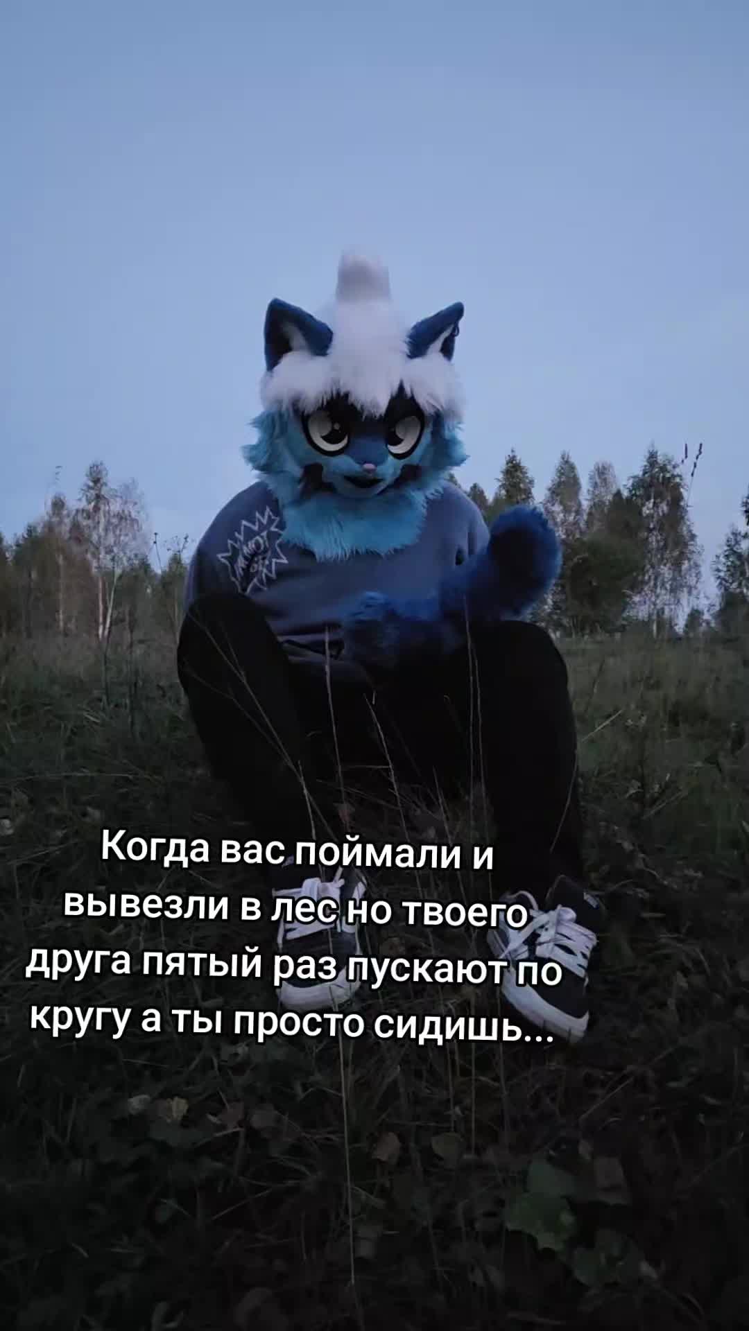 @Шарк