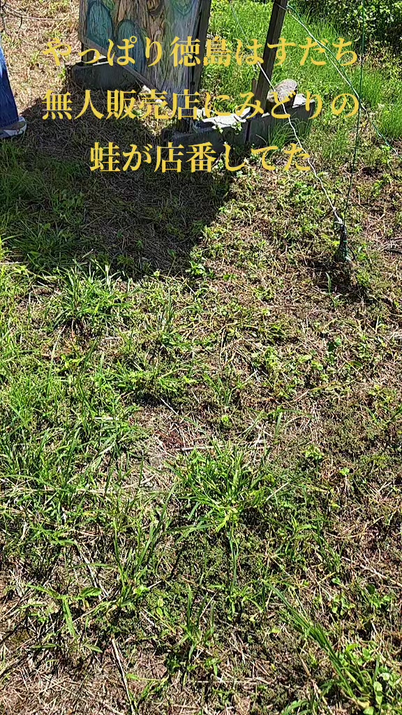 @零🇯🇵🌸零戦一番機🌸🇯🇵