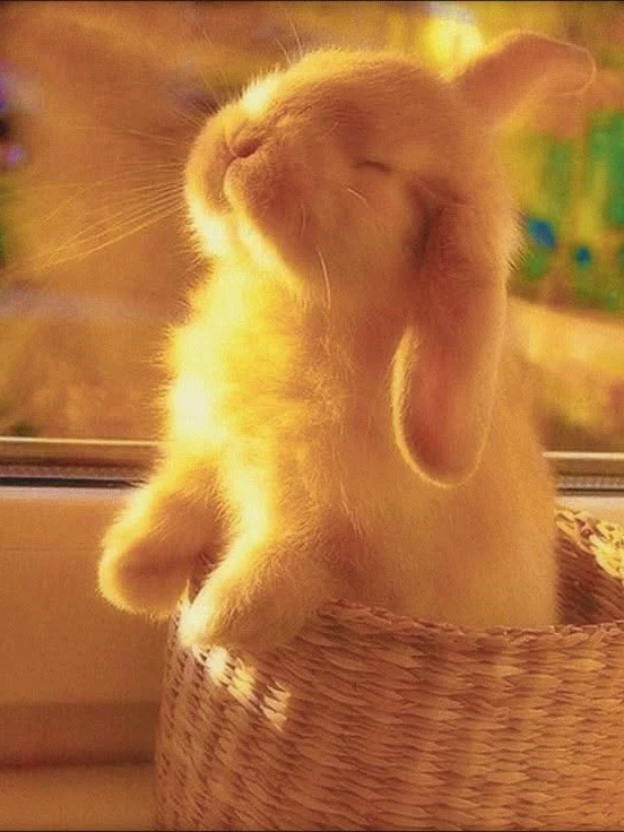 @★«🧊Zoktay_fans🫧»★(1K)