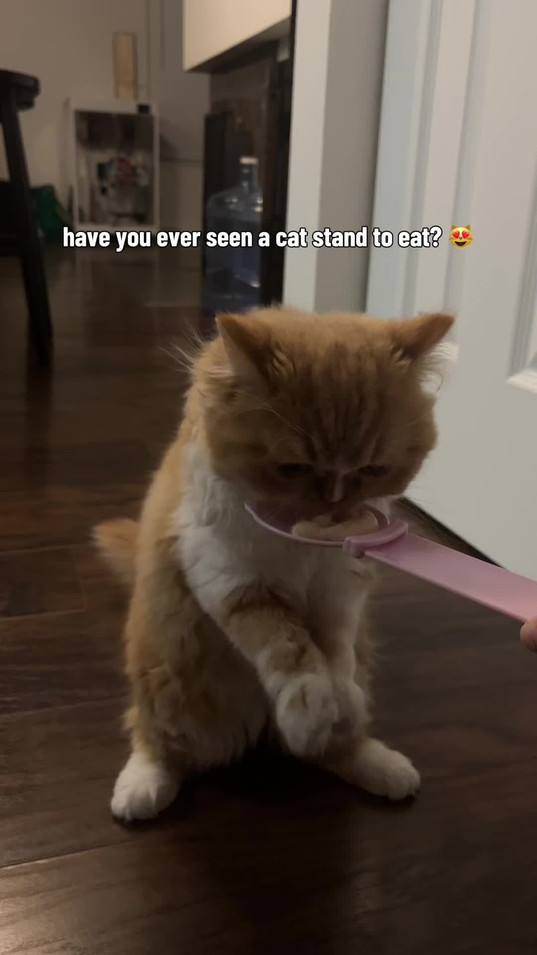 @somithepersian