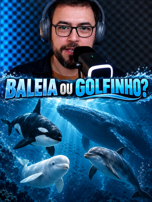 @Bruno Brezenski