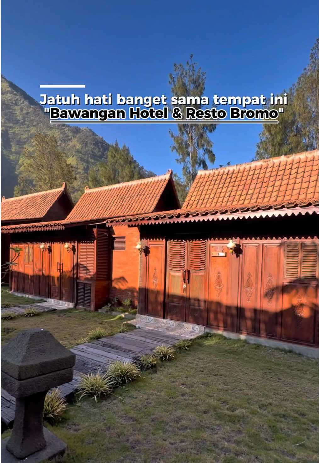 @Madeleine Dinata