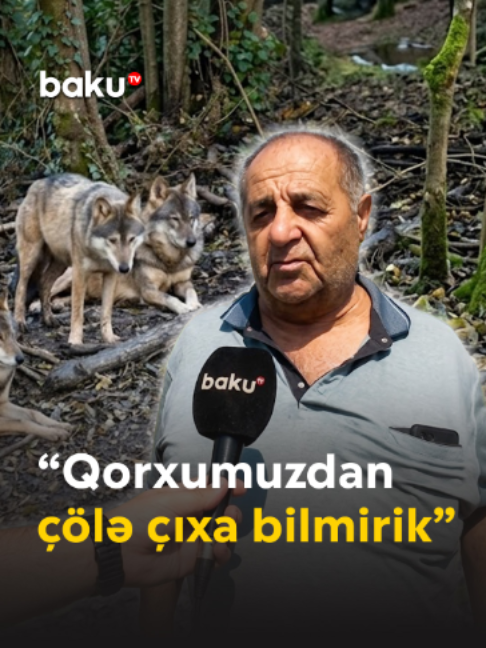 @baku.tv