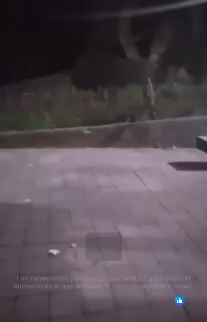 @Scary Cucuy