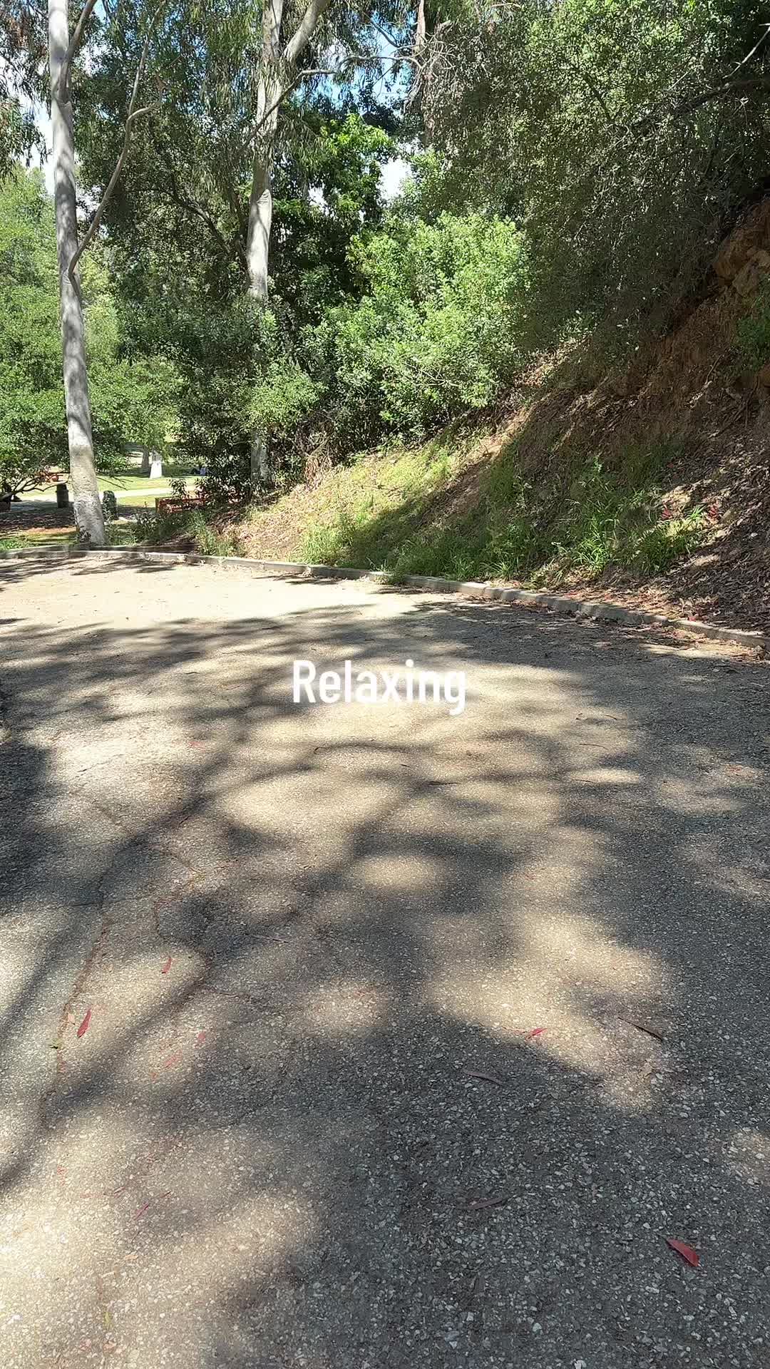 @Alex