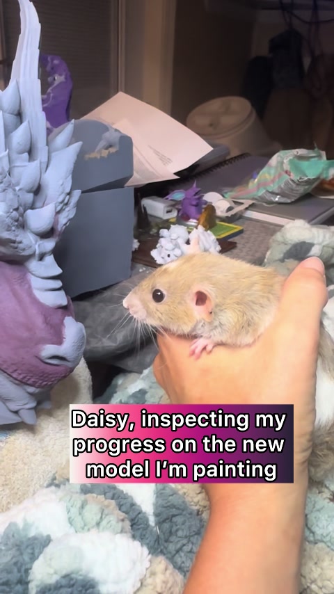 @Nosies and Toesies Rattery