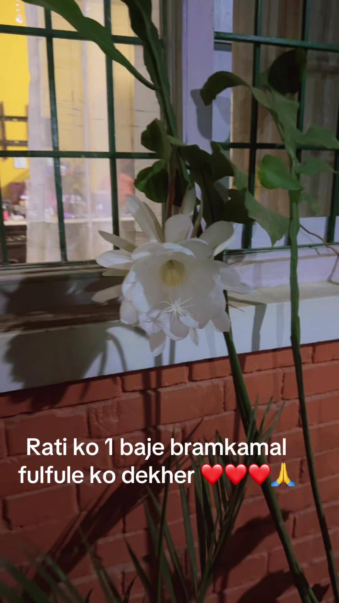 @Shailu joshi