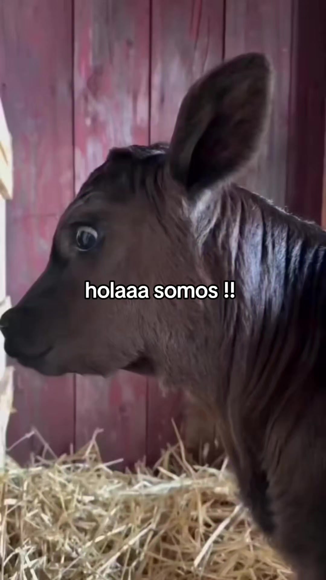 @ElecAcces