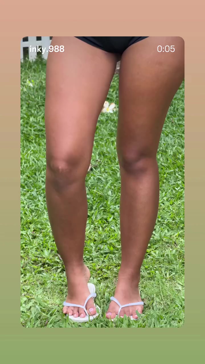 @gato herrera