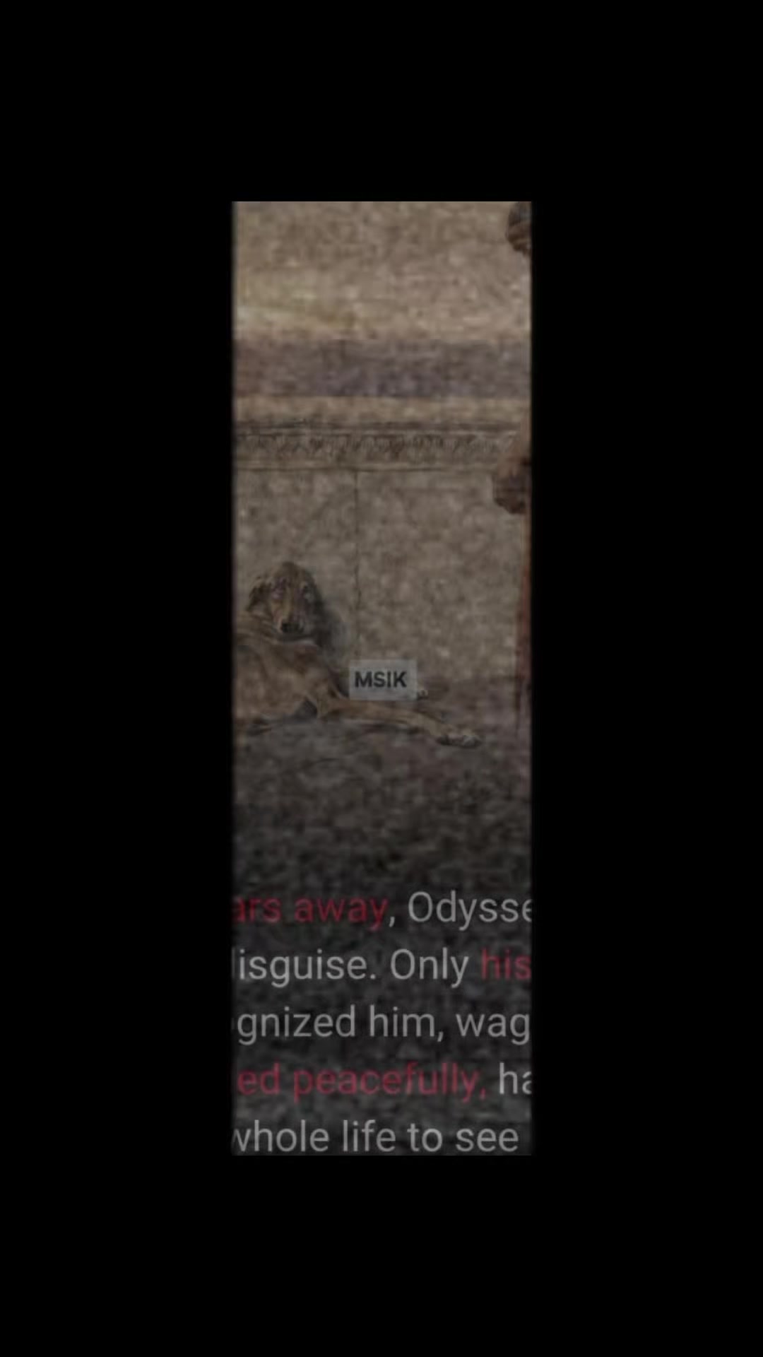 @🇷🇺🇺🇬MSIK🇦🇺🇸🇸