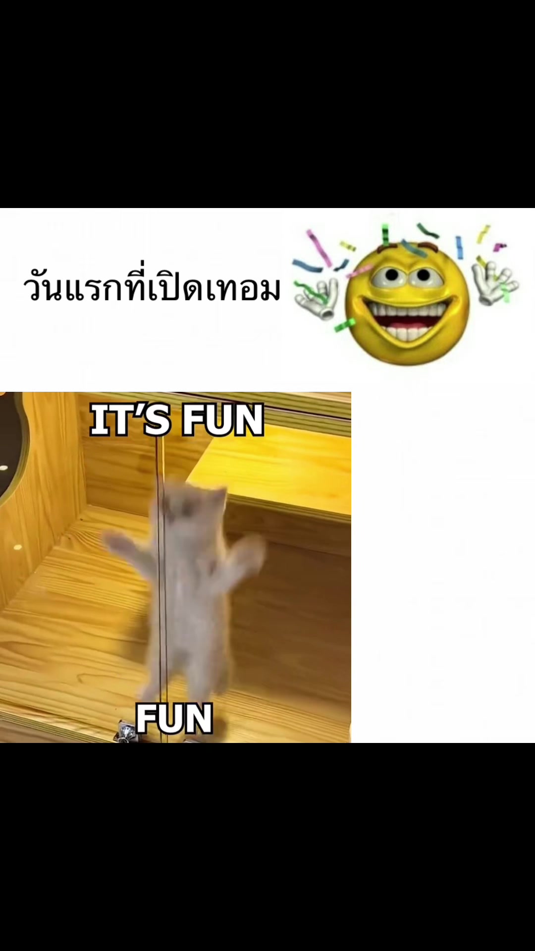 @Biao=เบียว