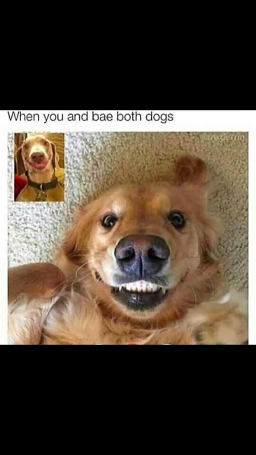 @Heartlesschick40