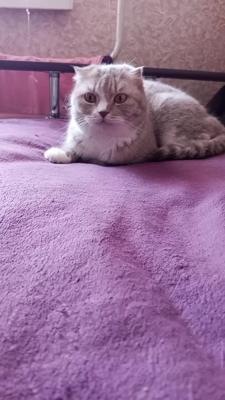 @вилка кросс💒