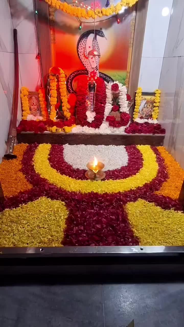 @Nick chaudhari1 🇮🇳 🇺🇸