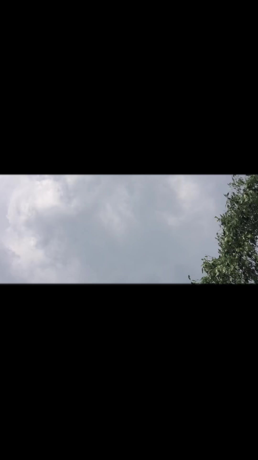 @Dambari Karki