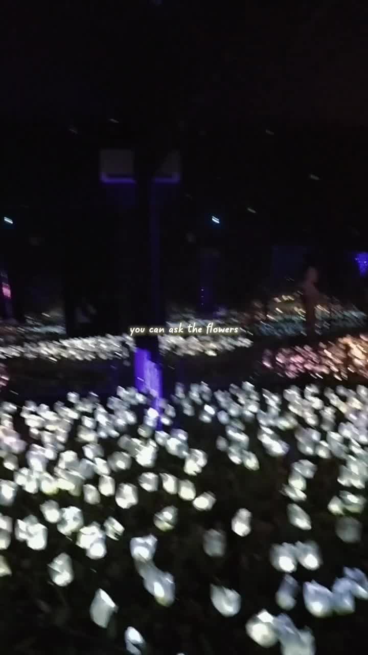 @jnong🐇