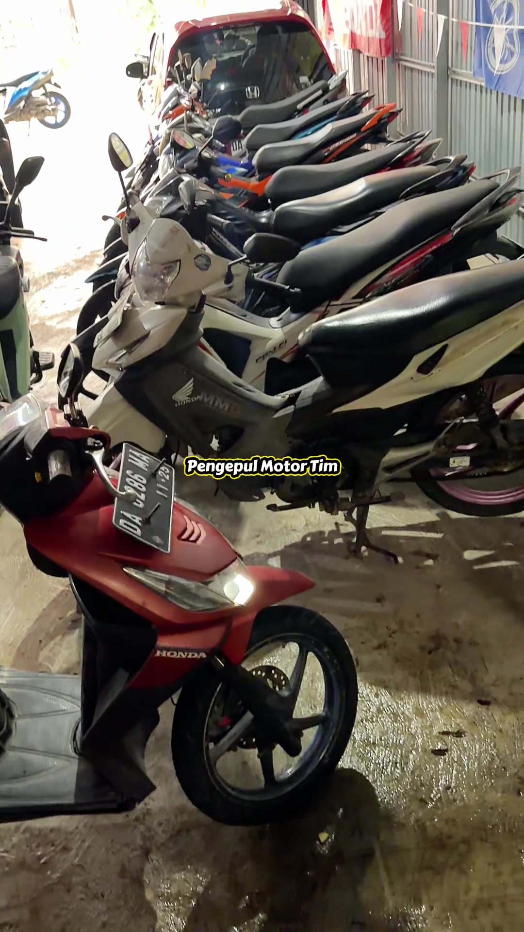 @pengepulmotortim