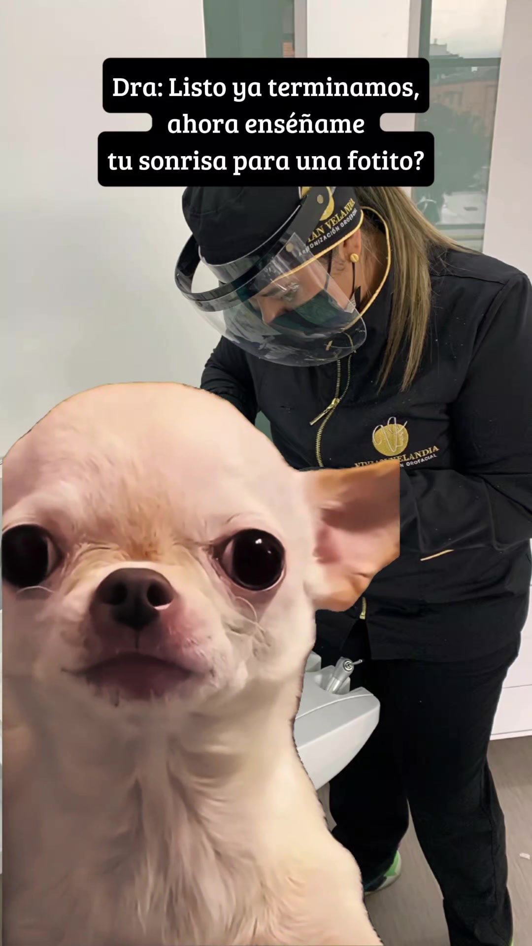 @VIVIAN VELANDIA