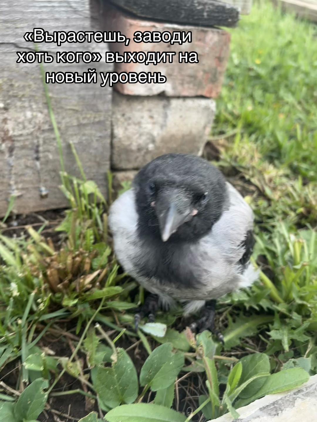 @ксю