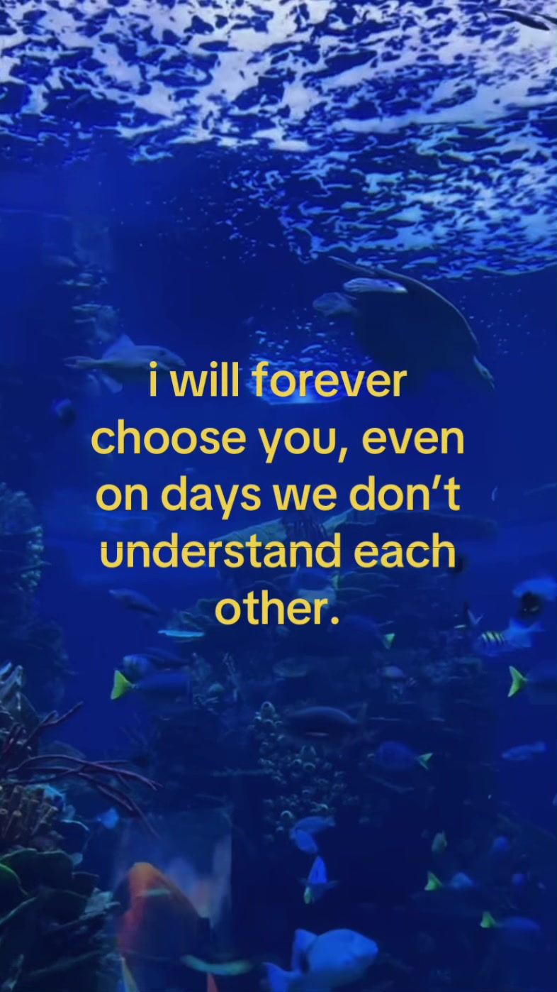 @𝓙.