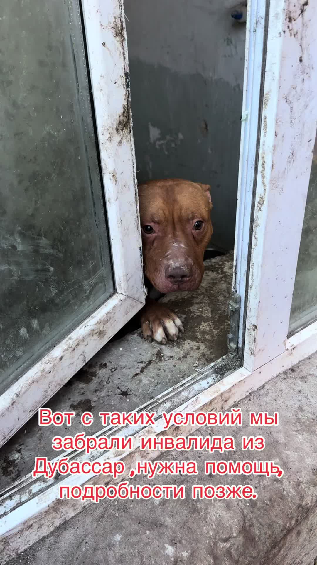 @Лёвка и компания.